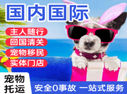 广州白云机场托运国际宠物托运 【国